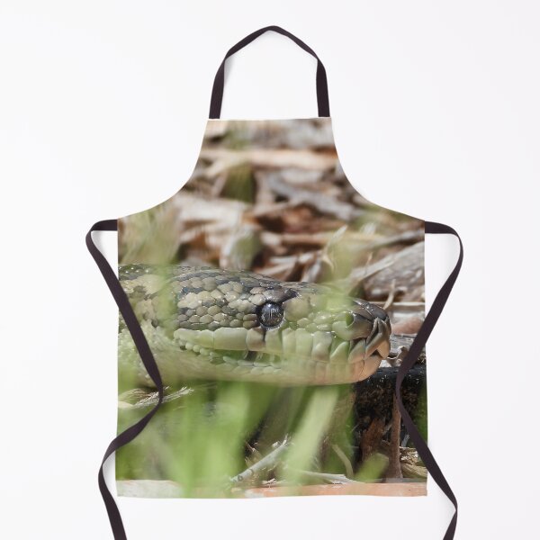 Item preview, Coastal carpet python snake ground level designed and sold by Mark Grimsley.