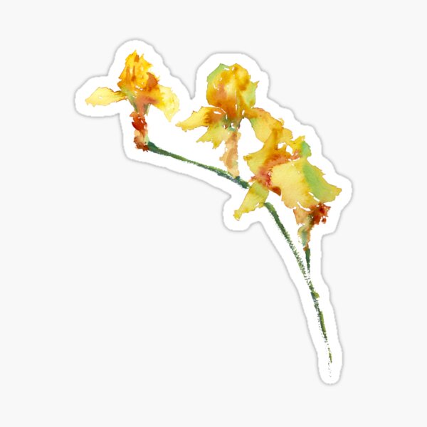 Item preview, Watercolour flower painting - YELLOW IRISES - Japanese style brushwork - illustration designed and sold by lyatee.
