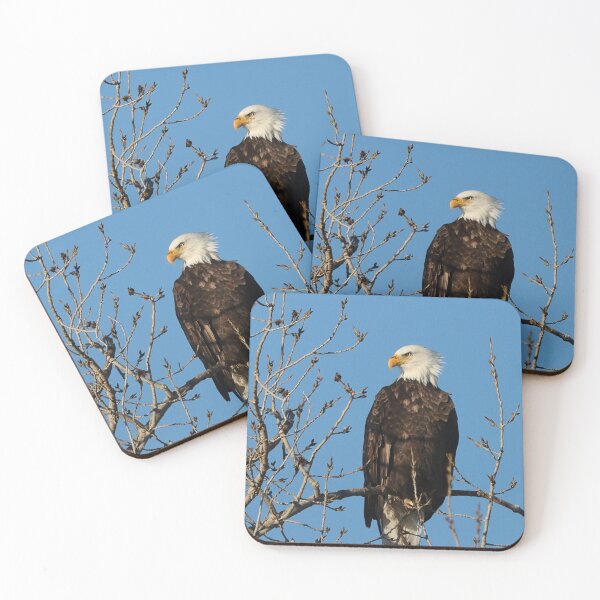 Item preview, The Regal Eagle designed and sold by timdaytimages.