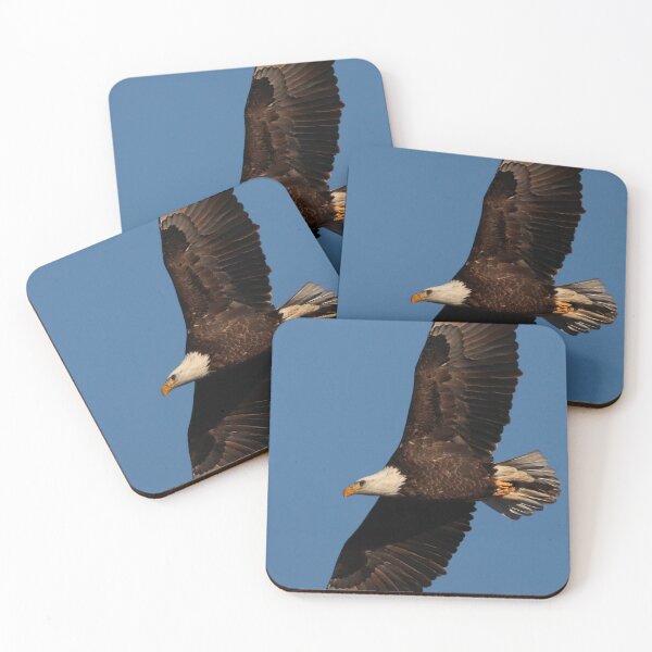 Item preview, Bald Eagle in Flight designed and sold by timdaytimages.