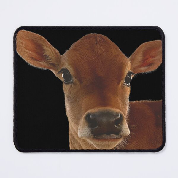 Item preview, Moo (Wink) designed and sold by Lee Darnell.