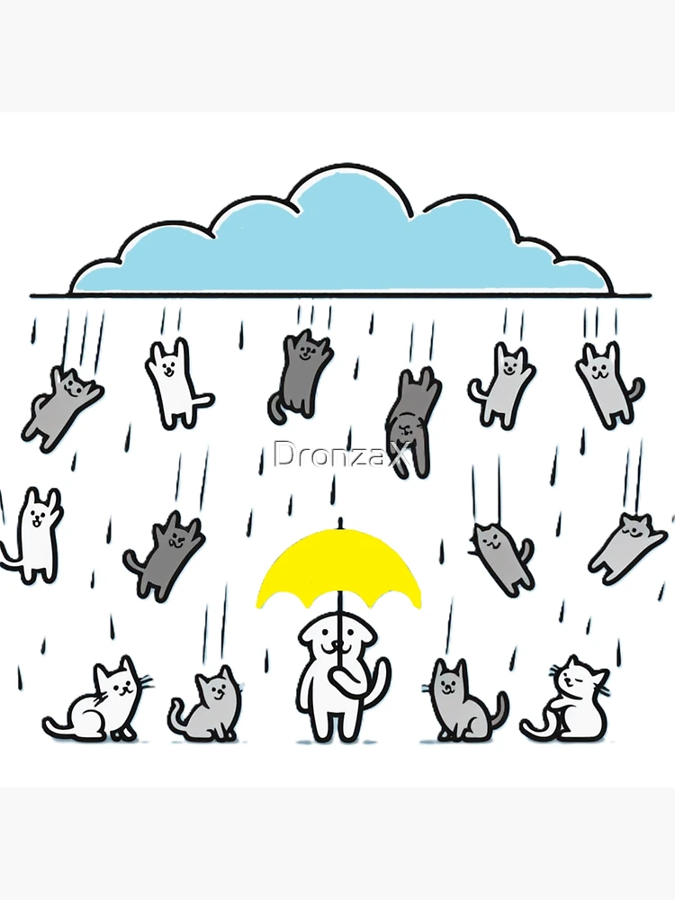 Raining Cats and Dogs 未開封BOX farp,large,wall_texture,