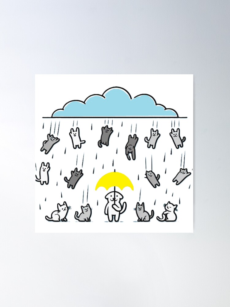 Raining Cats & Dogs