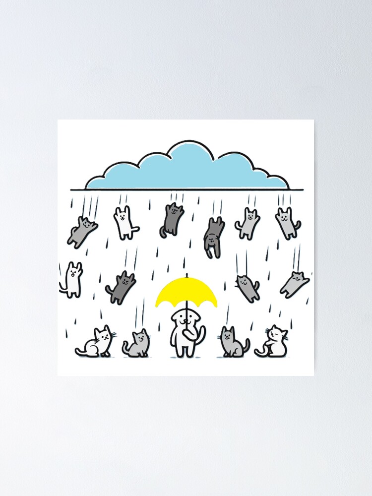 Raining Cats & Dogs