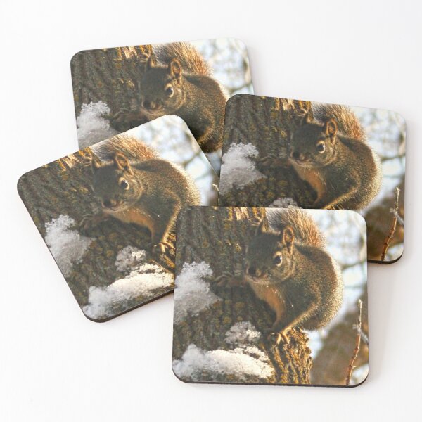 Item preview, Christmas Squirrel designed and sold by vernonplatt.