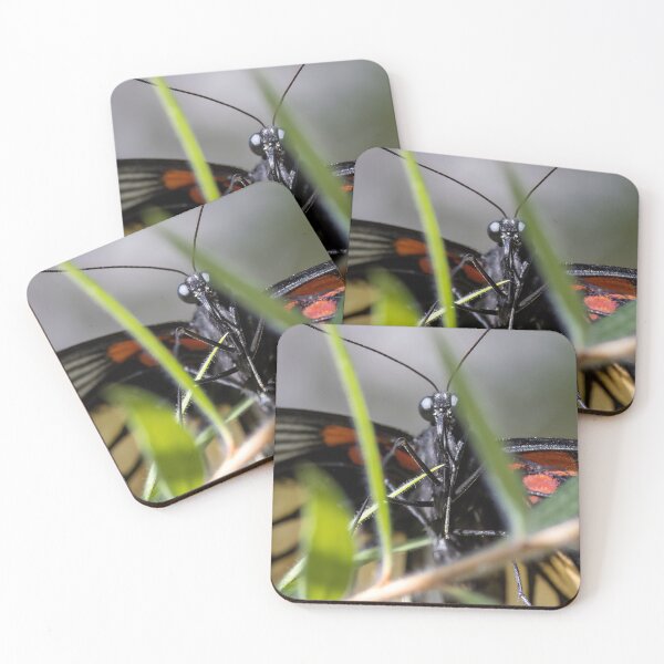Item preview, Butterfly smiles designed and sold by seven11photos.