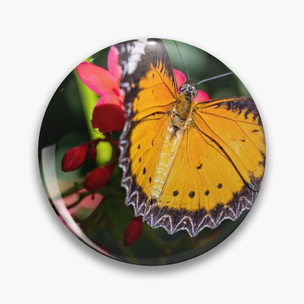 Item preview, Spreading Butterfly designed and sold by seven11photos.