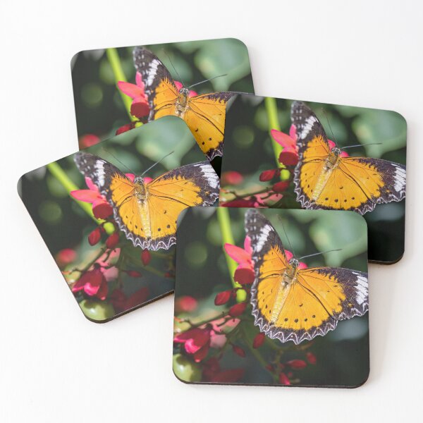 Item preview, Spreading Butterfly designed and sold by seven11photos.