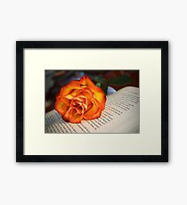 Love of Books Framed Print