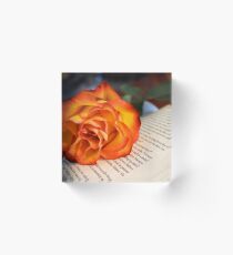 Love of Books Acrylic Block