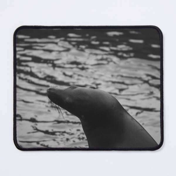 Item preview, Black and White Sea Lion Portrait designed and sold by MeganMatsuoka.