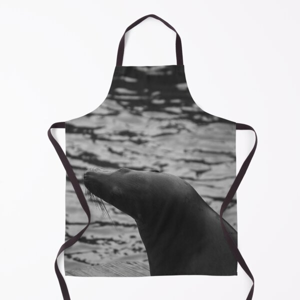 Item preview, Black and White Sea Lion Portrait designed and sold by MeganMatsuoka.