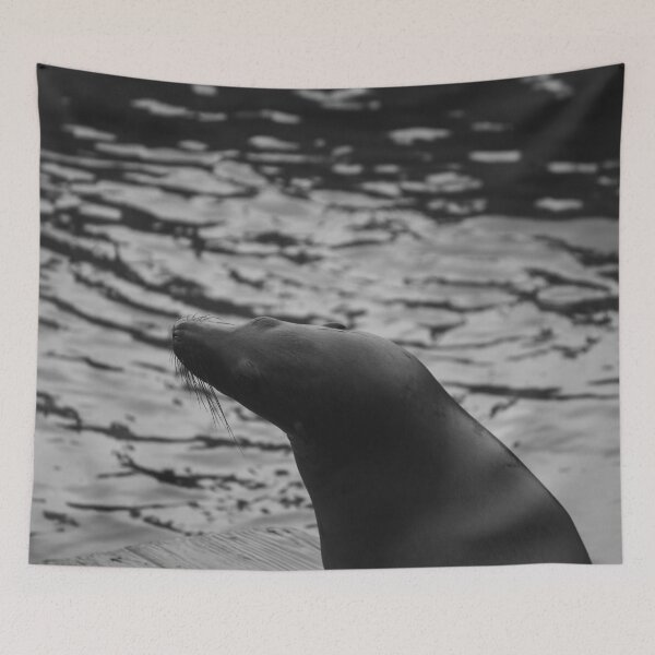 Item preview, Black and White Sea Lion Portrait designed and sold by MeganMatsuoka.
