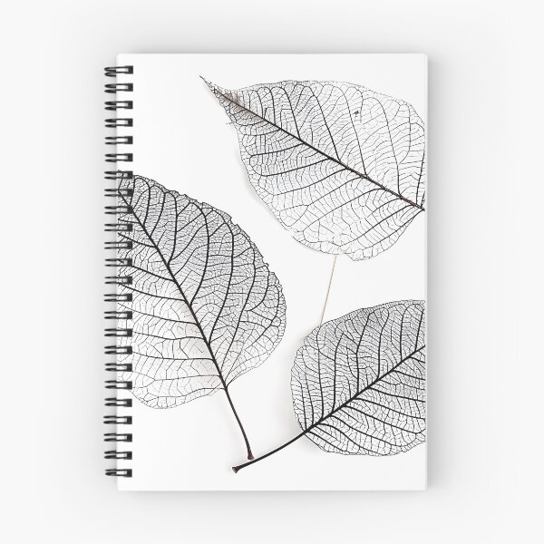 Item preview, earthtone skeleton leaf decorative print designed and sold by dcrc.