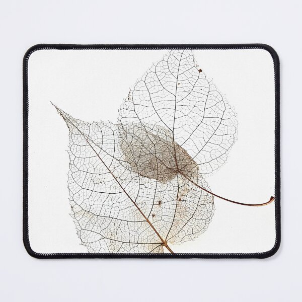 Item preview, earthtone skeleton leaf decorative print designed and sold by dcrc.