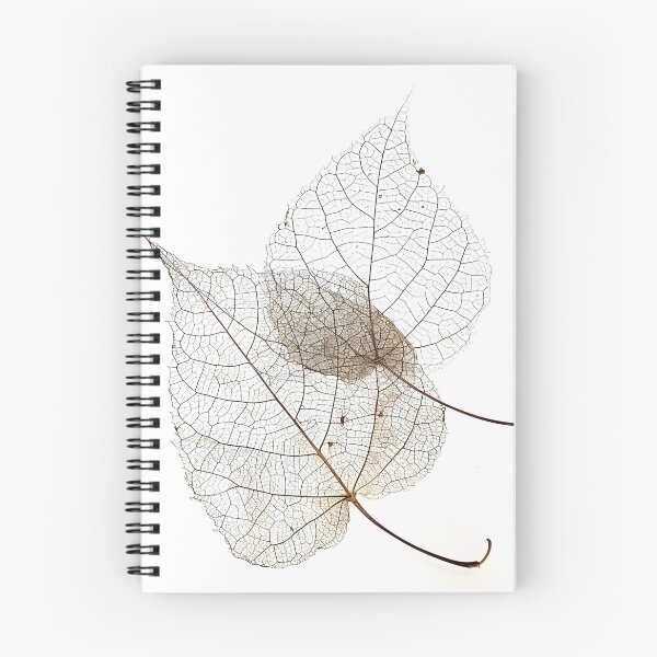 Item preview, earthtone skeleton leaf decorative print designed and sold by dcrc.