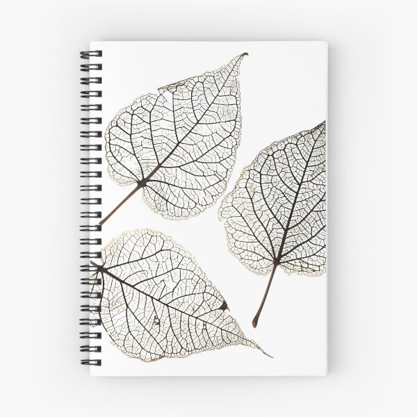 Item preview, earthtone skeleton leaf decorative print designed and sold by dcrc.