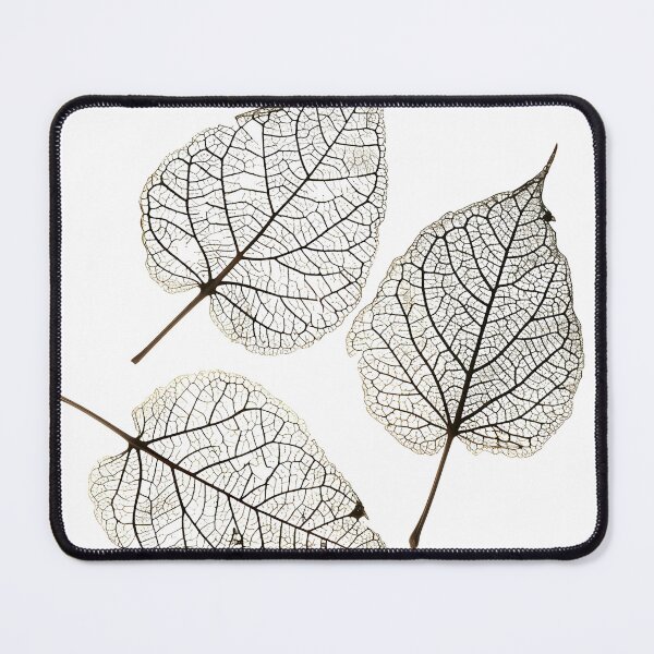 Item preview, earthtone skeleton leaf decorative print designed and sold by dcrc.