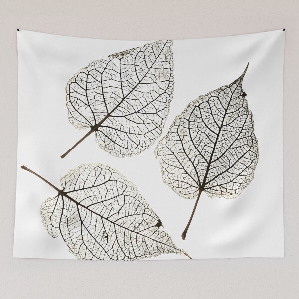Item preview, earthtone skeleton leaf decorative print designed and sold by dcrc.
