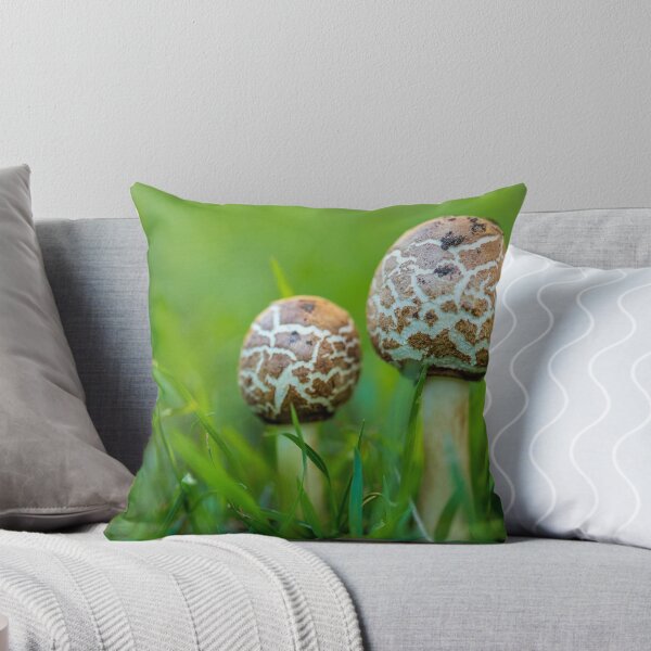 Aperçu de l'œuvre Toadstools créée et vendue par Keith's Photo Artistry.