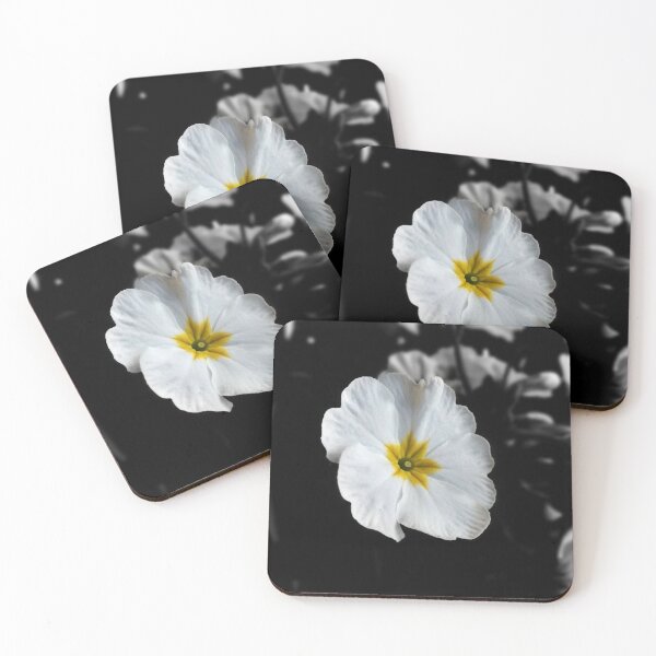 Item preview, White Common Primrose, Darjeeling designed and sold by iamantara.