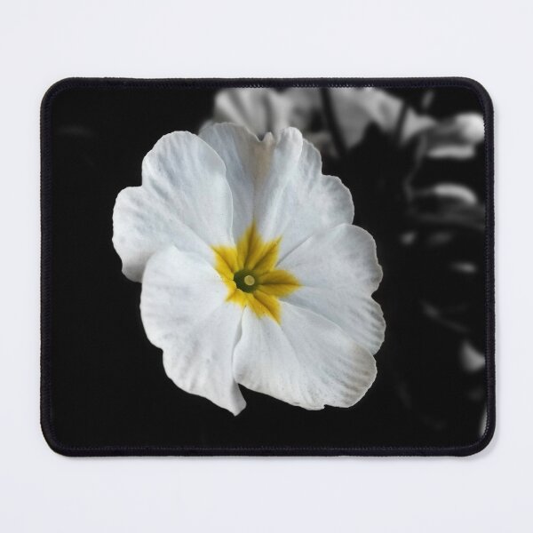 Item preview, White Common Primrose, Darjeeling designed and sold by iamantara.