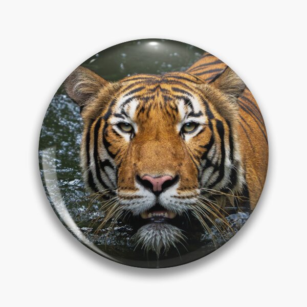 Item preview, Malayan Tiger designed and sold by TravellingFatmn.