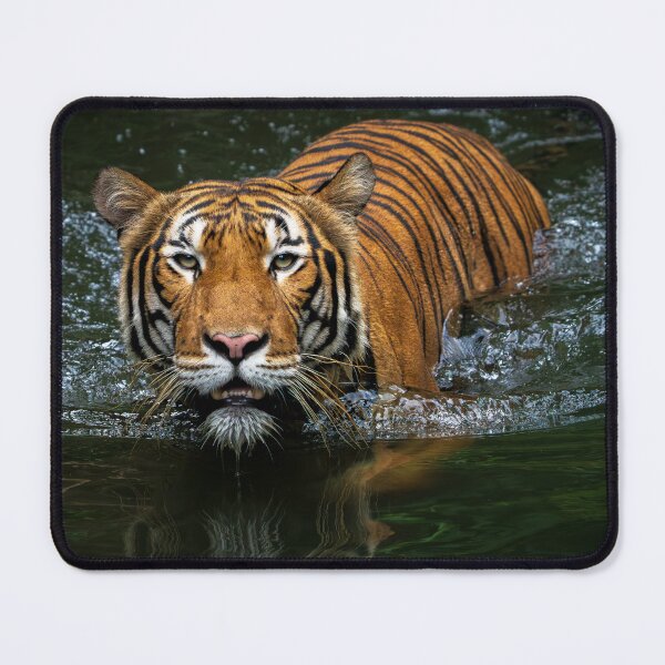Item preview, Malayan Tiger designed and sold by TravellingFatmn.