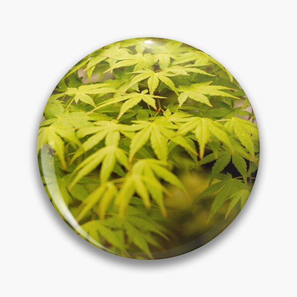 Item preview, In the Breeze, Tokyo, Japan designed and sold by Norman Repacholi | Keystone Photography.