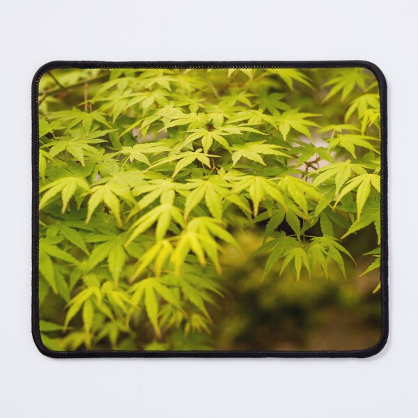 Item preview, In the Breeze, Tokyo, Japan designed and sold by Norman Repacholi | Keystone Photography.