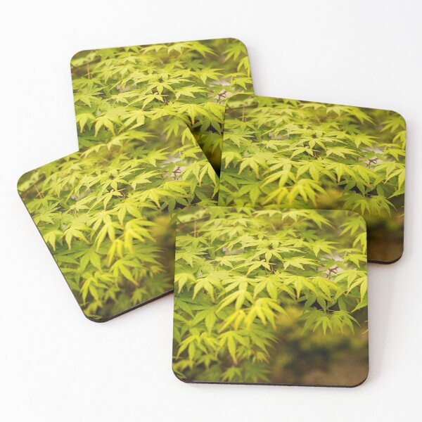 Item preview, In the Breeze, Tokyo, Japan designed and sold by Norman Repacholi | Keystone Photography.