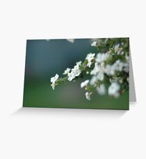 f 1.4 Greeting Card