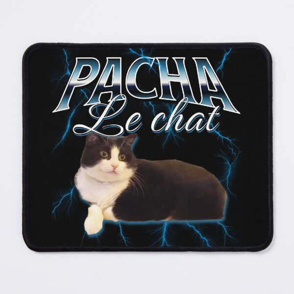 Item preview, Pasha the Cat designed and sold by JonathanP514.