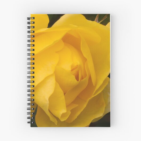 Item preview, Yellow rose designed and sold by yunee.