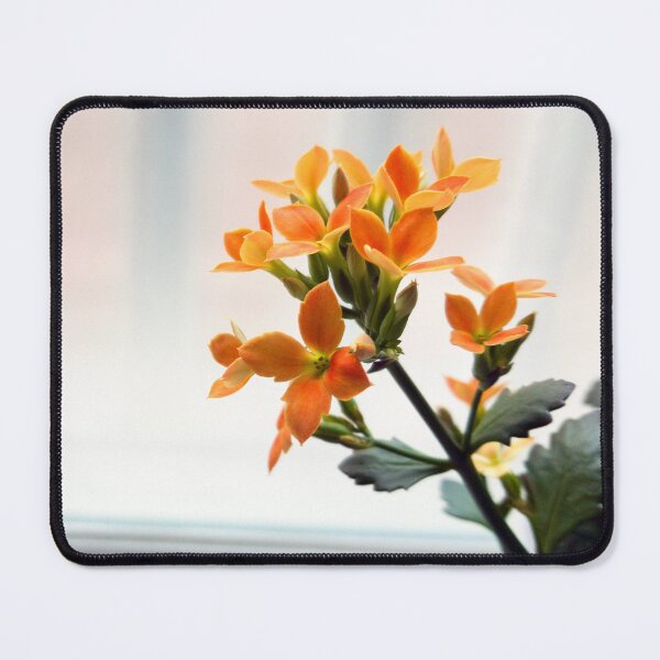 Item preview, orange color flower designed and sold by yunee.