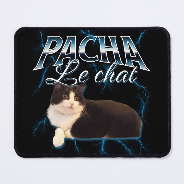 Item preview, Copy of Pasha the Cat designed and sold by JonathanP514.