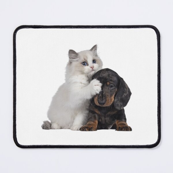 Item preview, Feline and Canine Complicity - Ragdoll and Canine Friend designed and sold by Crea-Designer.
