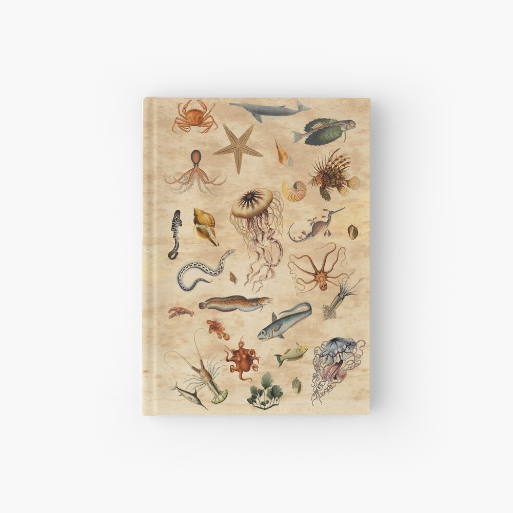 Marine Biology Gift - Vintage Theme Design Journal