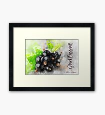 Black Currant Framed Print