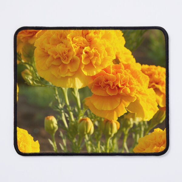 Item preview, Carnation Tile 004 - Ruffled Rainbows in Floral Clusters designed and sold by TheBrainArt.