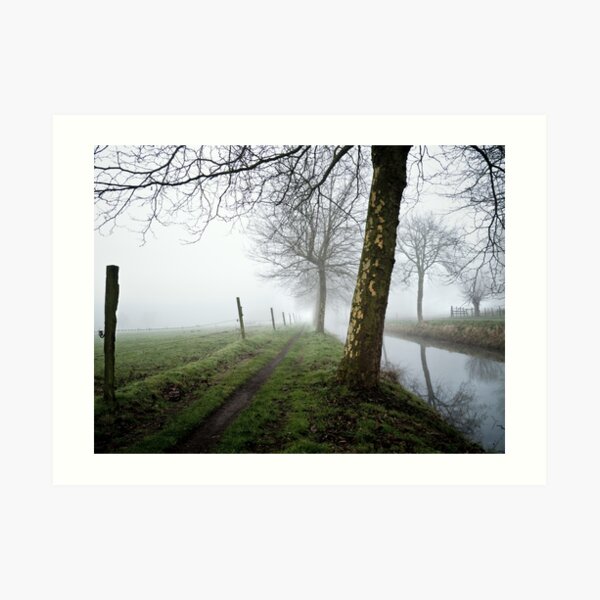 trees in the mist Art Print