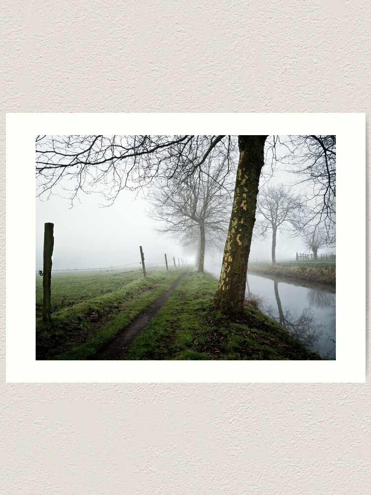 Alternate view of trees in the mist Art Print