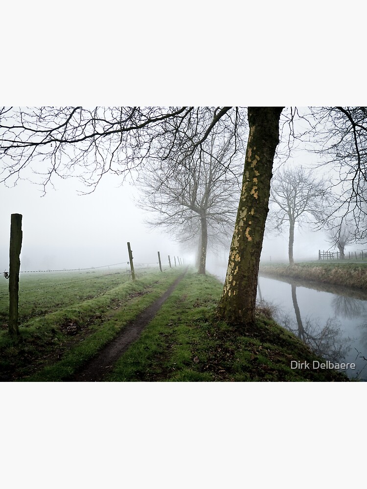 trees in the mist by Delbaere