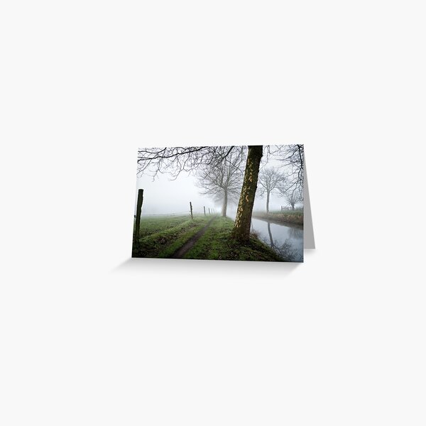 trees in the mist Greeting Card