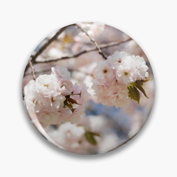 Item preview, White cherry blossoms, Tokyo, Japan designed and sold by Norman Repacholi | Keystone Photography.