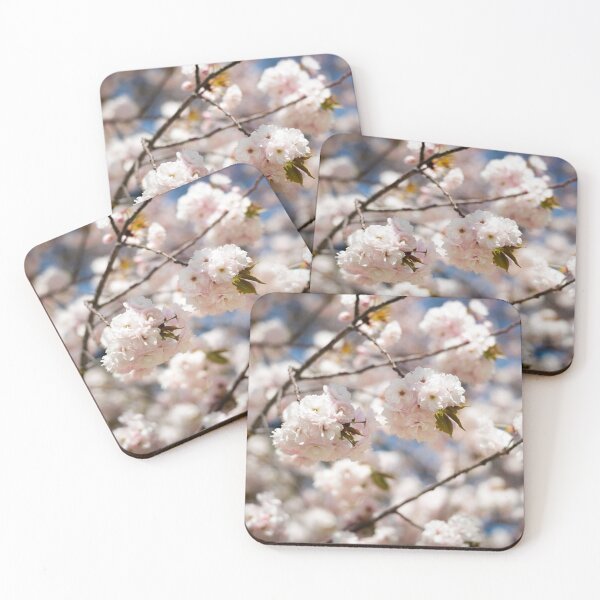 Item preview, White cherry blossoms, Tokyo, Japan designed and sold by Norman Repacholi | Keystone Photography.
