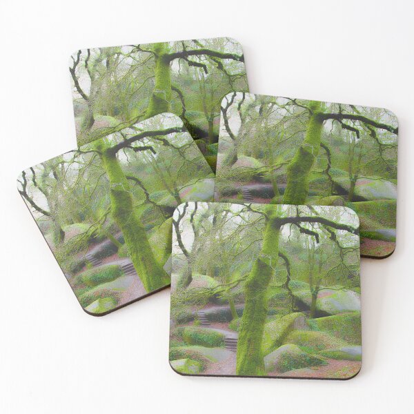 Item preview, magical path in the Brittany forest designed and sold by Philfive.