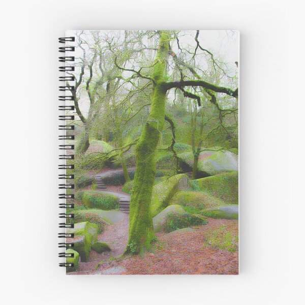 Item preview, magical path in the Brittany forest designed and sold by Philfive.