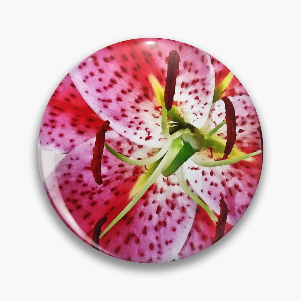 Item preview, Stargazer Lily Closeup designed and sold by Susan Savad.