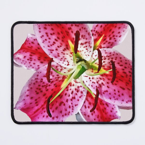 Item preview, Stargazer Lily Closeup designed and sold by Susan Savad.